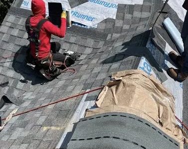 Professional Roofing Contractors