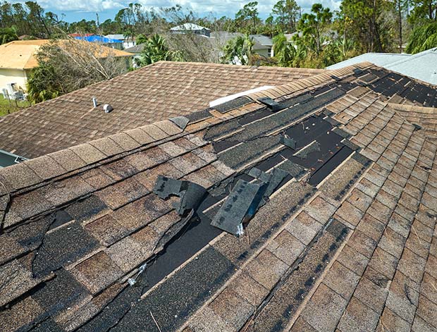 Concorde Difference Concorde Difference